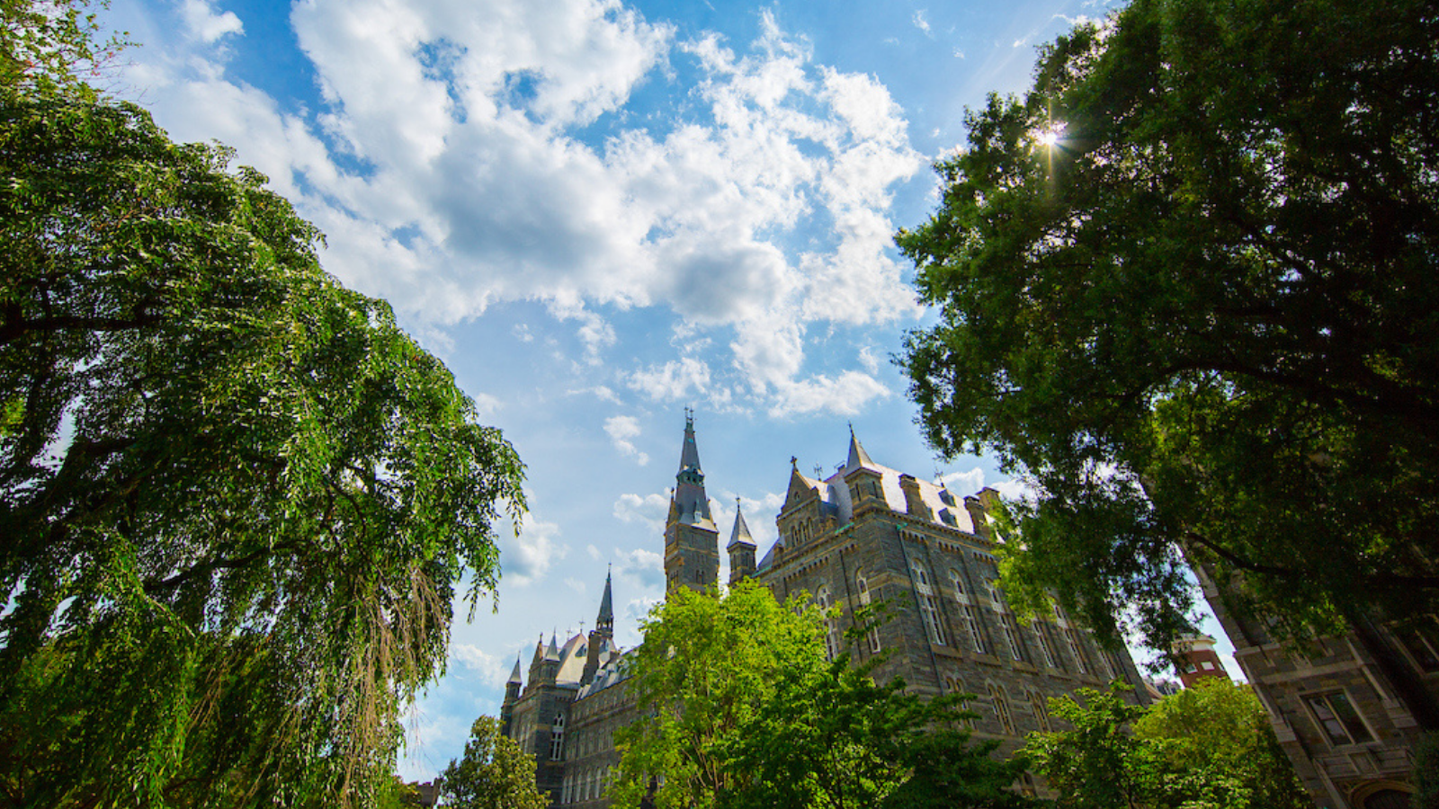 Healy Hall and trees